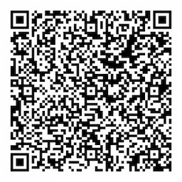 QR Image