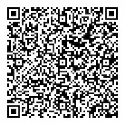 QR Image